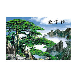 Large Size PET 3D Lenticular Printing Poster Of Waterfall Scenery Theme